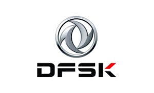 dfsk